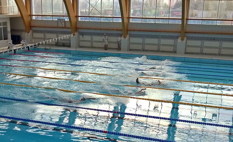 Соревнования по плаванию и акватлону прошли в Саранске 